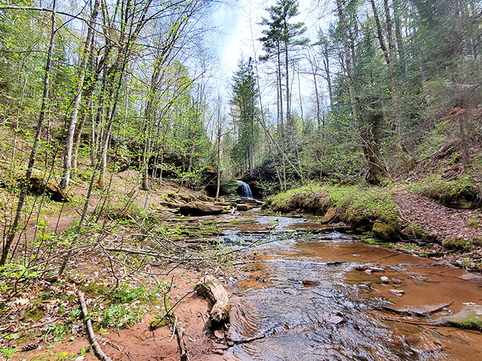 Lost Creek Falls: where 