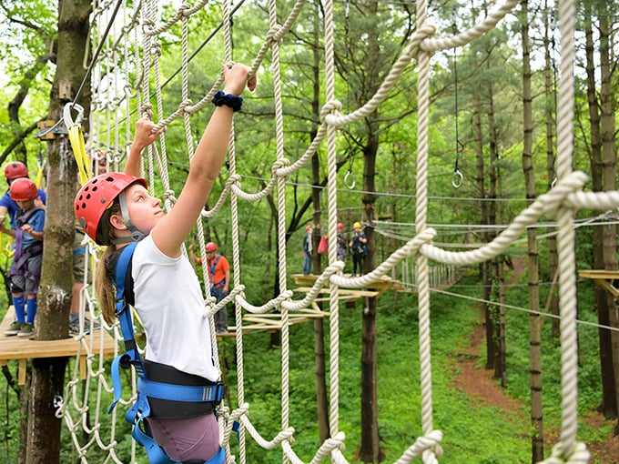 Who says tree-hugging can't be an extreme sport? These pint-sized daredevils are mastering the art of high-altitude hopscotch on Lake Geneva's kid-friendly courses.