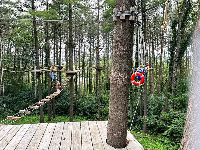 Forget about your morning commute - this treetop tightrope walk is the ultimate test of balance. It's like yoga, but with more screaming and less om-ing.