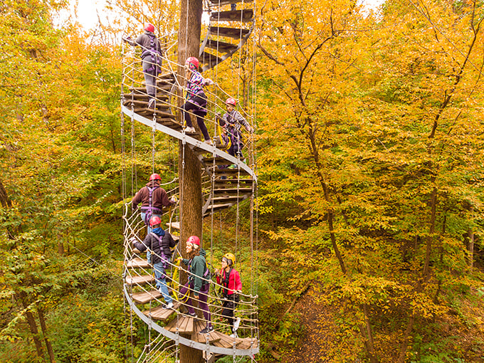 Smiles wider than a Wisconsin fish fry platter! These happy campers are proving that sometimes the best family bonding happens 50 feet off the ground.