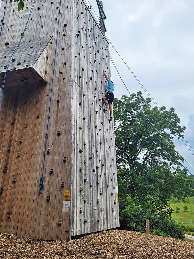 Scaling new heights and conquering fears, one hold at a time. This climbing wall is like a vertical game of Twister, minus the colorful dots.