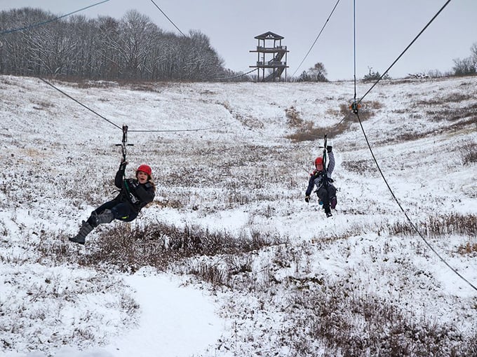 Who says winter is for hibernation? These brave souls are proving that ziplining is an all-season sport. Talk about a cool ride!