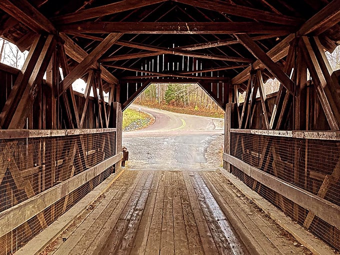 Behold the bridge's skeleton! These wooden beams have more stories to tell than your grandpa after his third glass of eggnog.