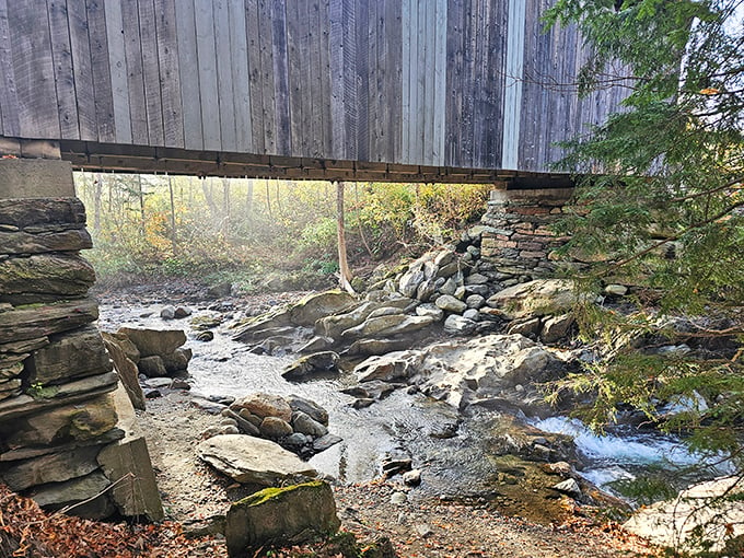 Nature's own rock concert! The Gold Brook rapids provide a soothing soundtrack that's better than any white noise machine.