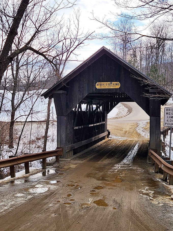 Winter wonderland or haunted hideaway? This snowy scene is giving major Narnia vibes, minus the talking animals.