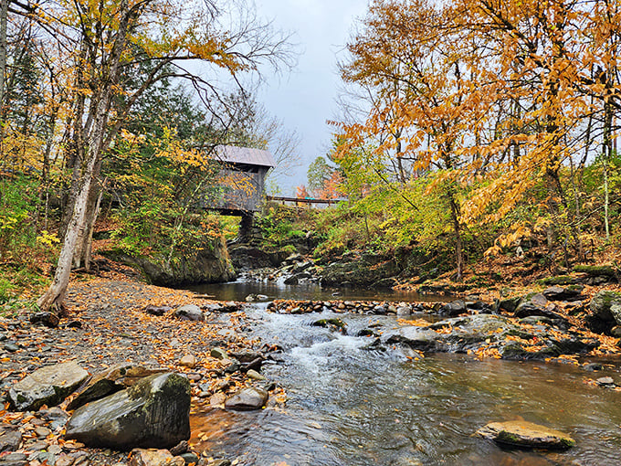 Nature's own confetti celebration! Fall in Vermont is like a party where the trees are the guests of honor.