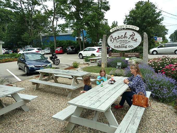 Picnic tables nestled among blooming lavender create the perfect spot to savor your pastries while soaking in Maine's coastal charm. Photo credit: Ezra Casas