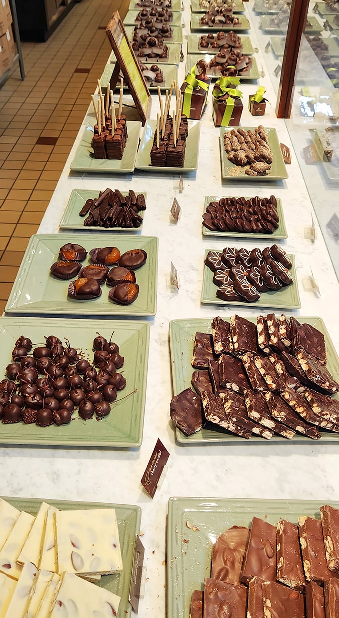 Chocolate smorgasbord! This spread is what dreams are made of – a choose-your-own-adventure of cocoa-based bliss.