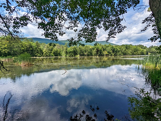 Lake Shaftsbury's waters reflect the sky's ever-changing palette. It's like Instagram filters, but au naturel and infinitely more captivating.