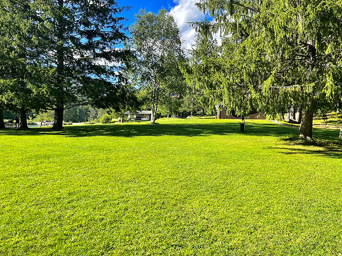 Lake Shaftsbury's lush lawn invites picnickers and daydreamers alike. It's nature's version of a plush carpet, minus the vacuum cleaner guilt.