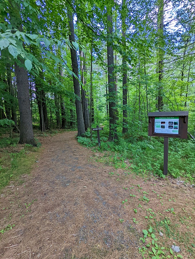 Lake Shaftsbury's nature trail beckons explorers. It's where Frost meets Thoreau, with a dash of 'choose your own adventure' thrown in.