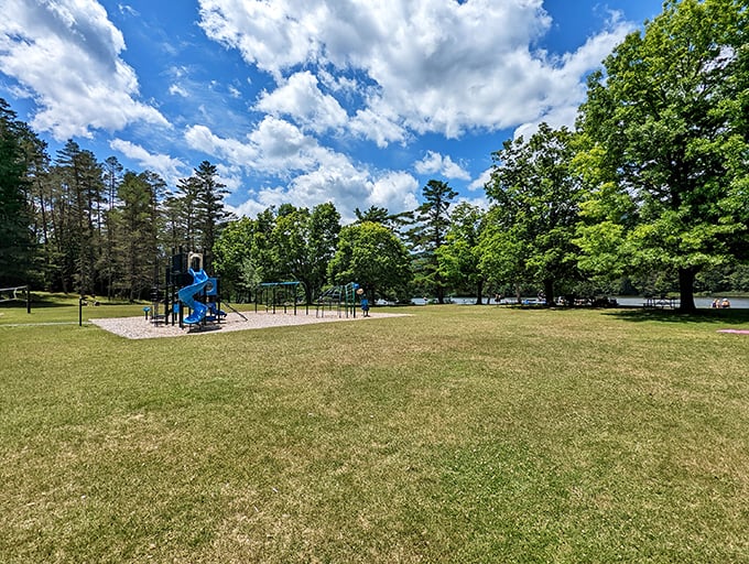 Lake Shaftsbury's playground proves fun knows no age. It's where kids burn energy and adults secretly wish they could join in.