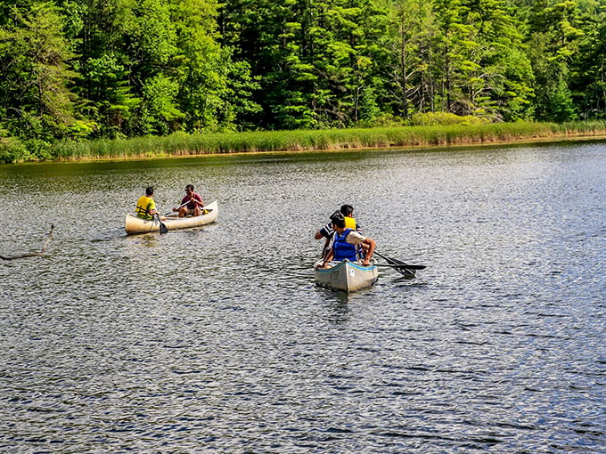 Canoe believe this view? Lake Shaftsbury's pristine waters beckon paddlers to explore. It's like a liquid treasure hunt, minus the sunken ships and swashbuckling pirates.