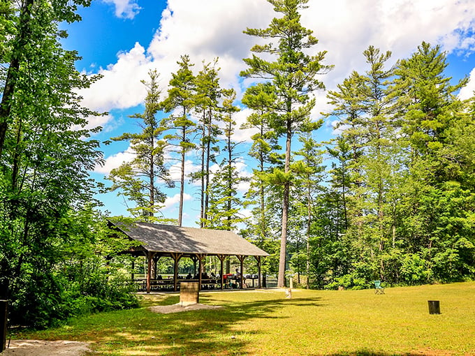 Lake Shaftsbury's picnic pavilion, where lunch meets landscape. It's the al fresco dining experience that puts your backyard barbecue to shame.