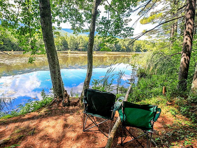 Lake Shaftsbury's lakeside loungers offer the best views in the house. It's like Netflix, but with better resolution and no buffering.