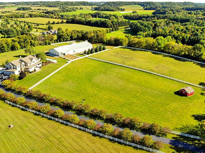 Talk about a room with a view! This aerial shot showcases the farm's picturesque layout, like a patchwork quilt of animal habitats and lush fields. 