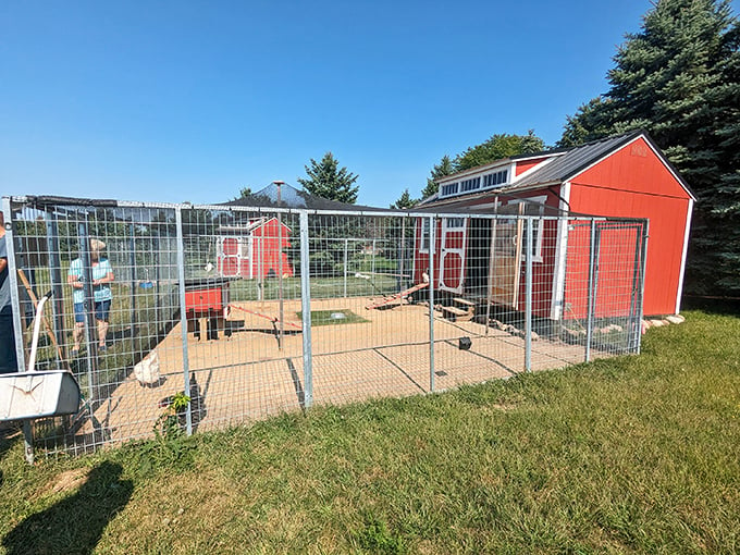 This chicken coop looks like the set of a farmyard sitcom. 