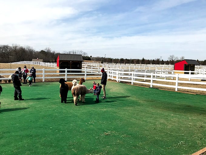 Farm life is in full swing! It's like a real-life version of that mobile game you can't stop playing. 