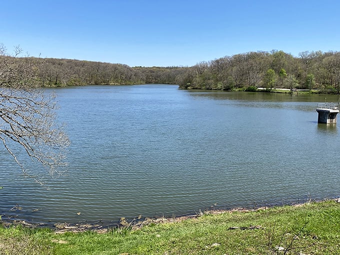 Argyle Lake: Where "gone fishing" isn't an excuse, it's a lifestyle. Even the fish here look more relaxed!