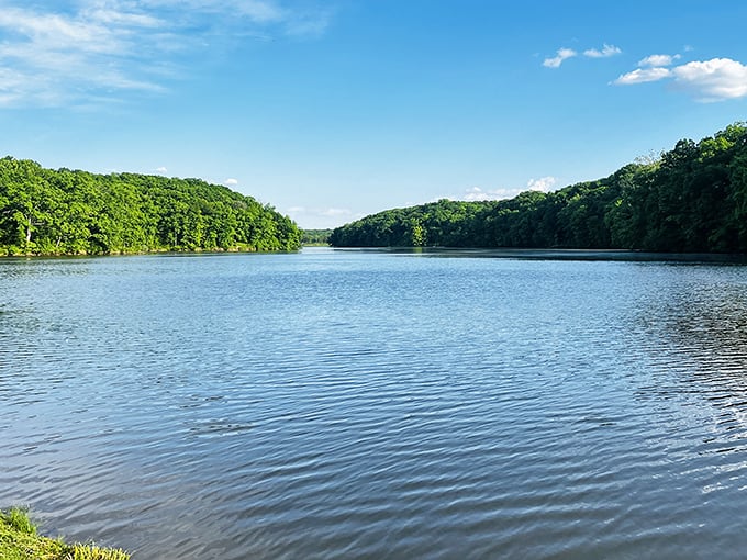 Fall foliage so vibrant, you'll think Mother Nature cranked up the saturation. Argyle Lake is autumn's catwalk.