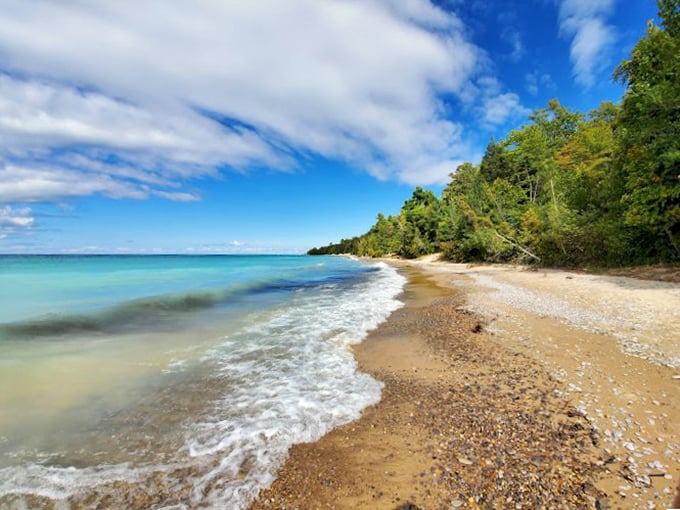 Fisherman's Island State Park Beach: Miles of pristine shoreline dotted with nature's own art installation – driftwood galore!