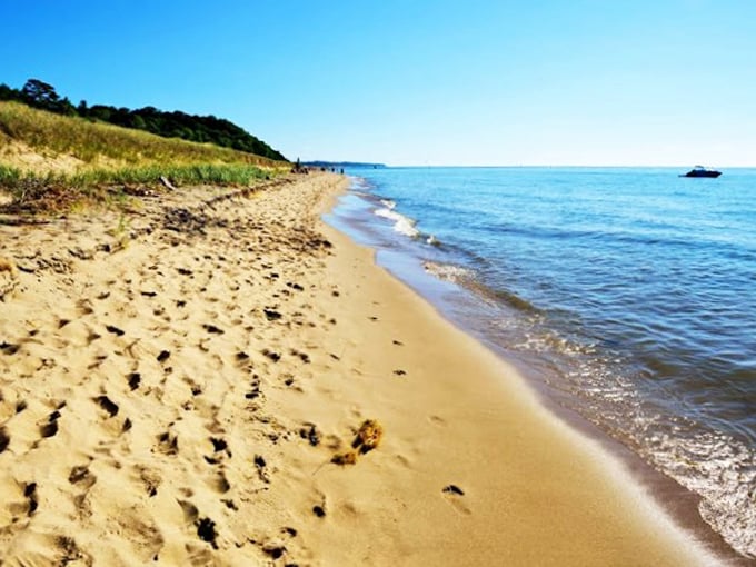 Climb a dune, feel like a kid again. The view from the top is worth every grain of sand in your shoes.