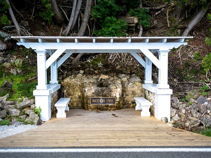 Mackinac Island: Where time stands still and bicycles rule the road. A car-free paradise that's music to your ears!