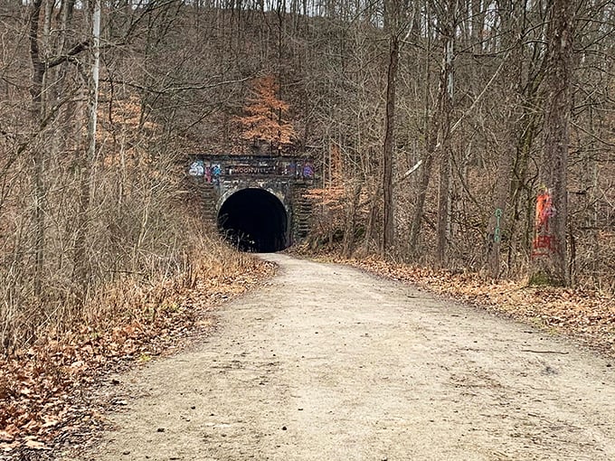 Ghost train coming through! This forest tunnel is the perfect spot for a game of 