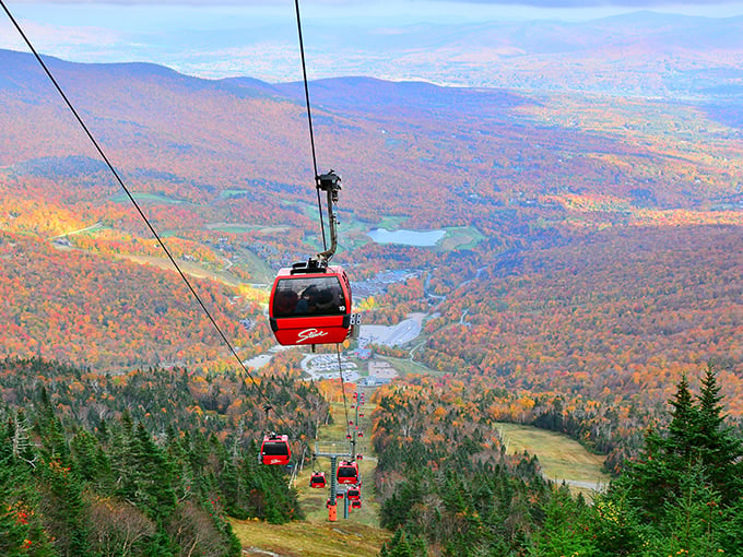 Gondola to paradise: Stowe Mountain Resort's aerial lift whisks you away to views so stunning, you'll swear you've stepped into a Bob Ross painting.