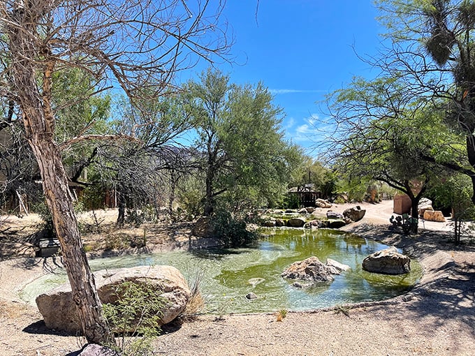 Who needs a spa day when you've got this desert oasis? Mother Nature's own version of a refreshing Wild West cocktail.