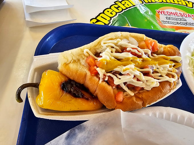 Bun-believable! This hot dog is dressed to impress, wearing more toppings than a sundae at a dessert convention.