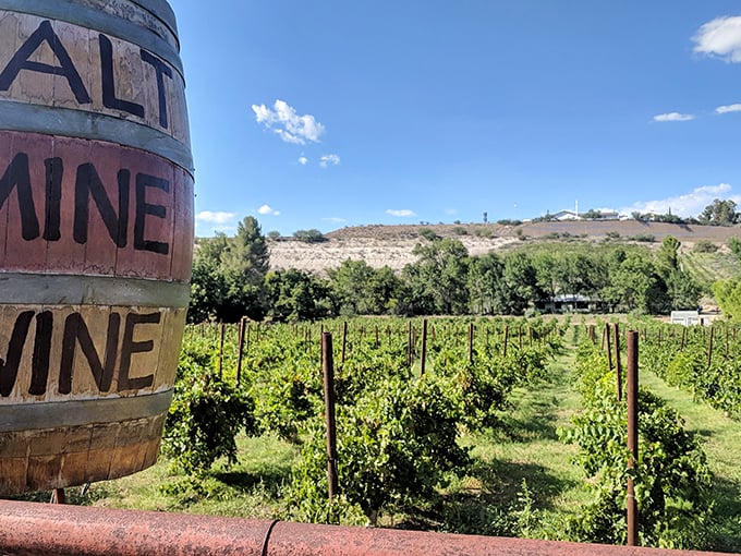 Salt Mine Wine: Proving that sometimes the best things in life are found off the beaten path. Indiana Jones would approve of this viticultural treasure hunt.