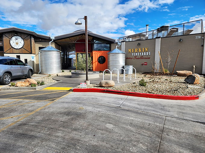 Merkin Vineyards: Where rock 'n' roll meets Rosé. Maynard James Keenan's foray into fermentation proves that grapes can indeed headbang.