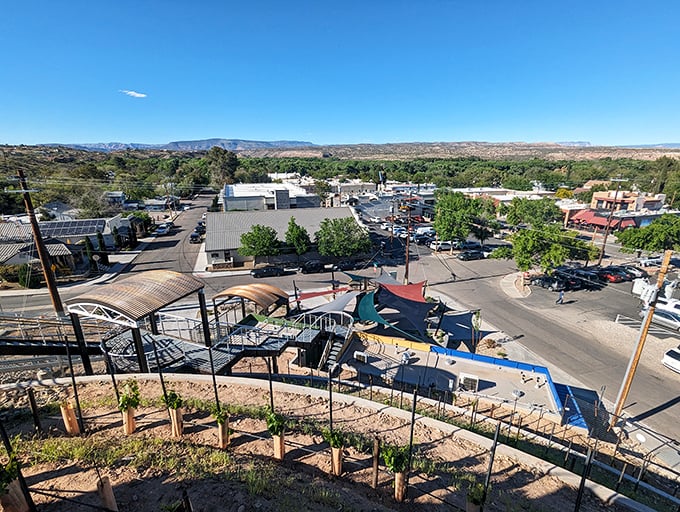 A bird's-eye view of wine paradise. If Willy Wonka traded chocolate for Chardonnay, this might be his factory.