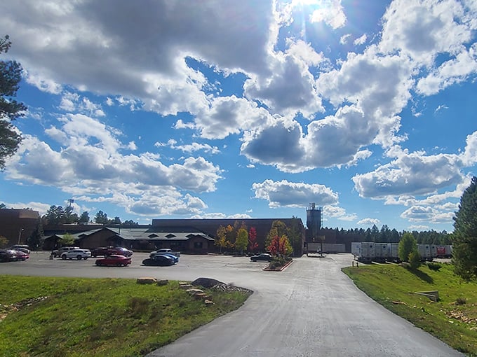 Where cones come to life! Under those fluffy clouds, dreams of perfect ice cream vessels are becoming reality.