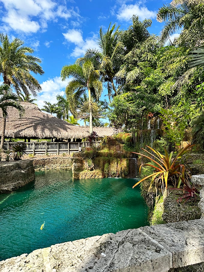 Mother Nature's infinity pool. If Gilligan had found this spot, he might've stayed "lost" on purpose.