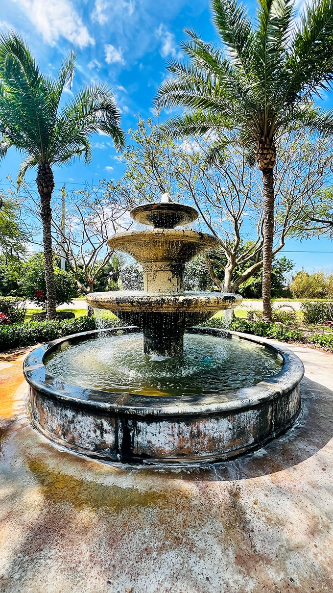 Fountain of youth? Maybe not, but this charming water feature certainly adds a splash of magic to your wine tasting adventure.