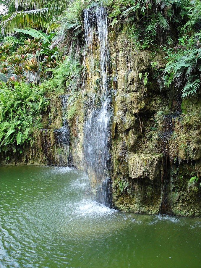 Nature's own sound system. This waterfall provides the perfect backdrop for sipping, chatting, and pretending you're on a far-flung island getaway.