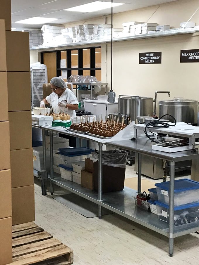 Behold, the inner sanctum of sweetness! Watch skilled artisans craft chocolate magic before your very eyes.