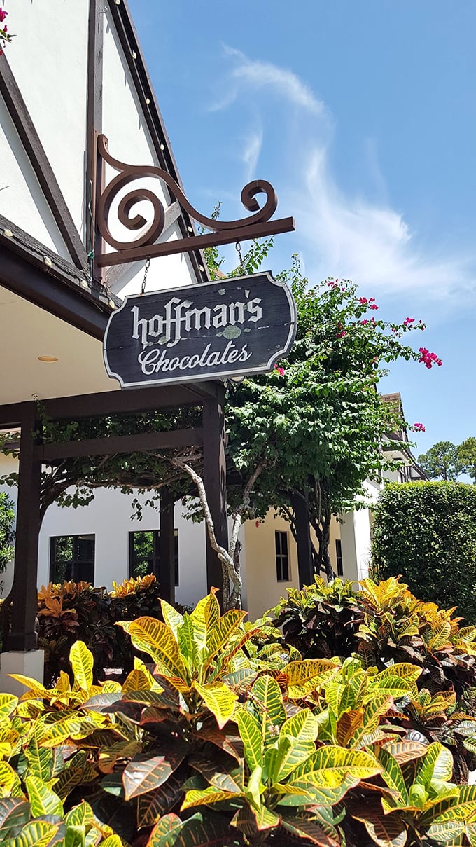 Sunshine, lush greenery, and a promise of chocolate. Is this paradise? No, it's just another day at Hoffman's!