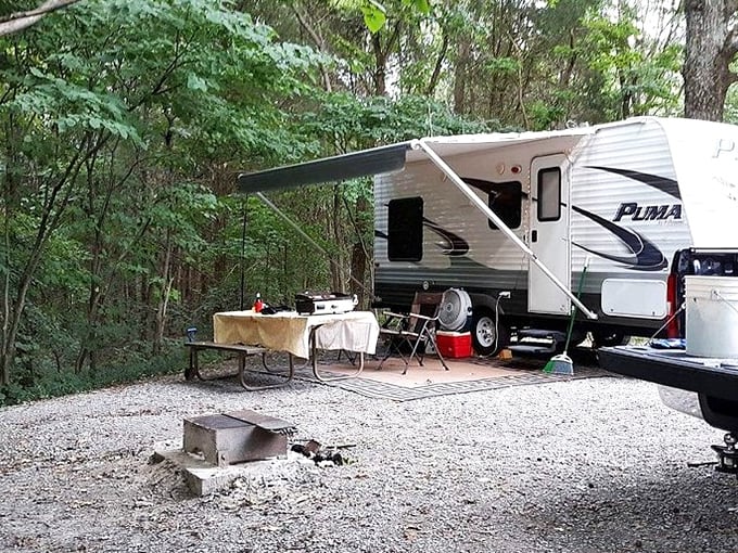 Glamping goals: Who says roughing it can't be comfy? This campsite is the outdoor equivalent of a five-star suite, complete with a forest view.