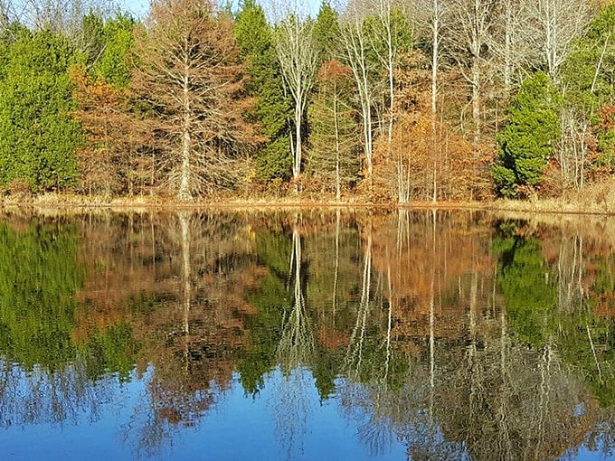 Serenity now! This tranquil lake scene is like Mother Nature's chill pill – guaranteed to lower your blood pressure faster than you can say "ahhh."