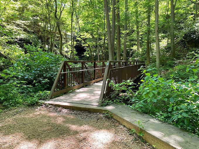 Bridge over untroubled water: This wooden walkway isn't just a bridge – it's a portal to your next great adventure. Simon and Garfunkel would approve.