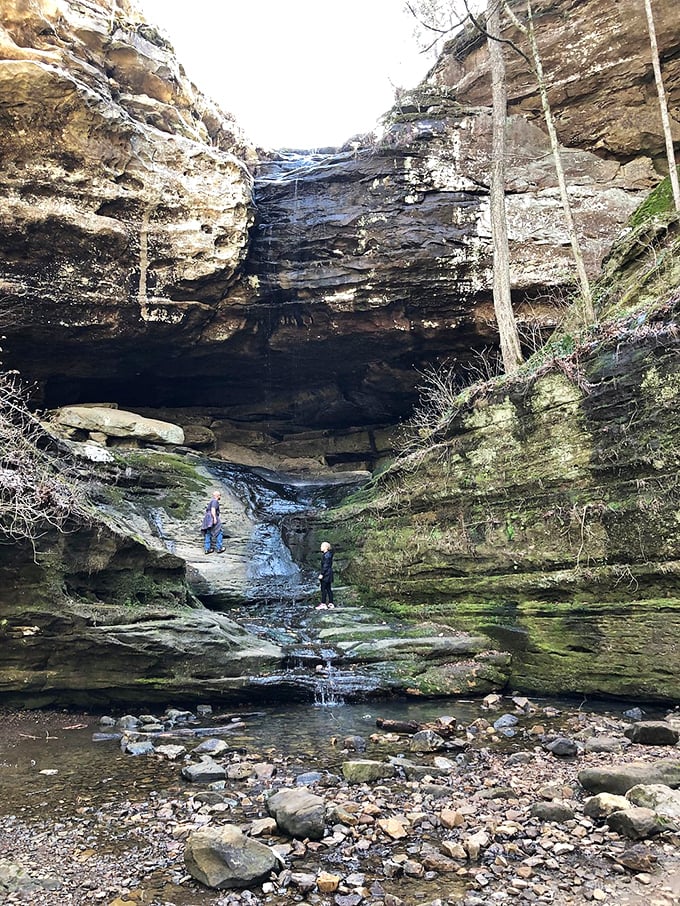 Rock stars in action: These intrepid explorers are living proof that sometimes, the best gym is Mother Nature's obstacle course.