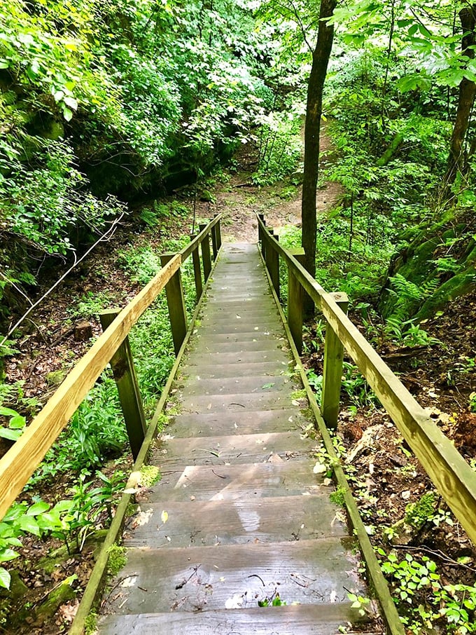 Stairway to heaven? Not quite, but this wooden bridge through the verdant forest is the next best thing. Led Zeppelin, take note!