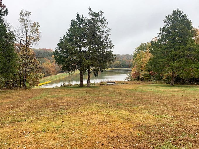 Room with a view: This lakeside bench is nature's version of front-row seats. The show? An ever-changing panorama of scenic splendor.