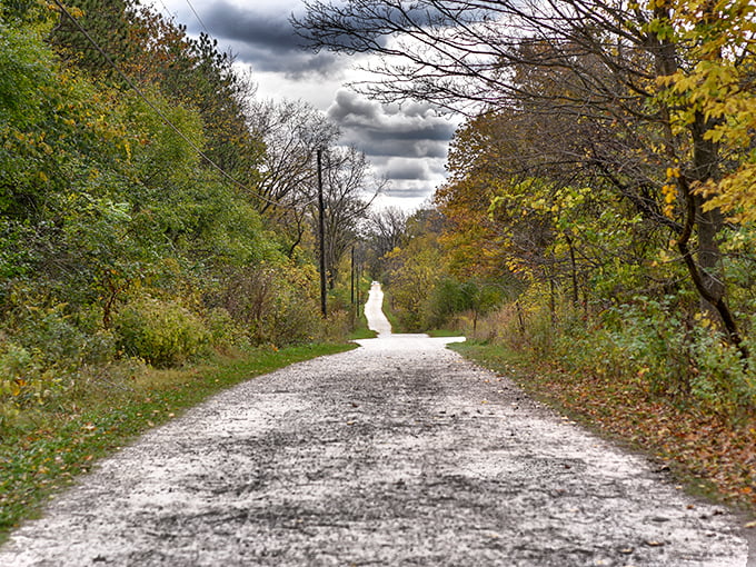 The yellow brick road's got nothing on this! A winding gravel path leads adventurers through a kaleidoscope of autumn colors, promising Oz-like wonders ahead.