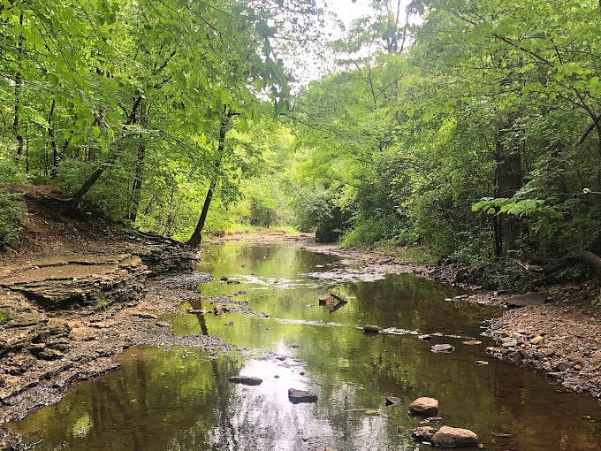 Mother Nature's mirror: This tranquil stream reflects the lush greenery above, creating a double dose of serenity that's better than any meditation app.