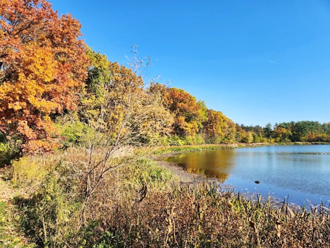 Autumn's paintbrush transforms the landscape into a masterpiece that would make Bob Ross proud. Happy little trees, indeed!