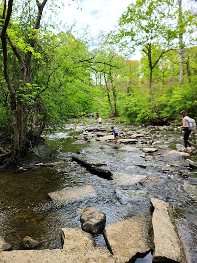 Rock-hopping adventurers navigate nature's obstacle course, proving that sometimes the best gym doesn't have a membership fee.